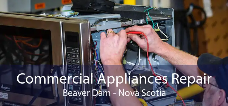 Commercial Appliances Repair Beaver Dam - Nova Scotia
