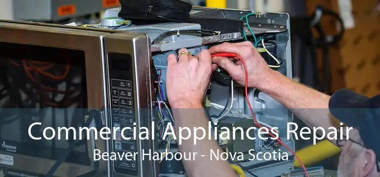Commercial Appliances Repair Beaver Harbour - Nova Scotia