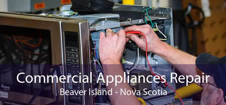 Commercial Appliances Repair Beaver Island - Nova Scotia