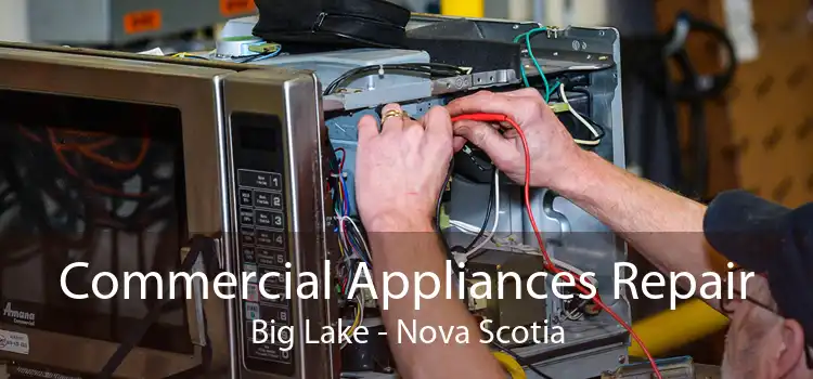 Commercial Appliances Repair Big Lake - Nova Scotia