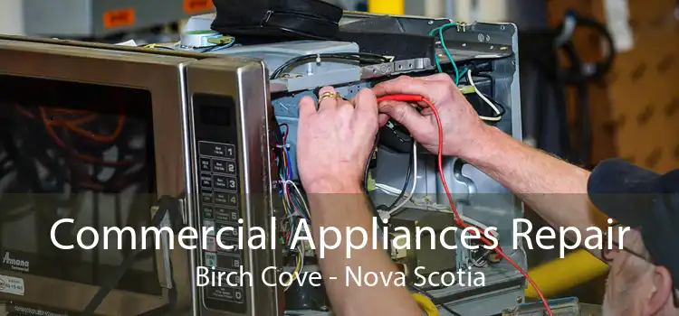 Commercial Appliances Repair Birch Cove - Nova Scotia