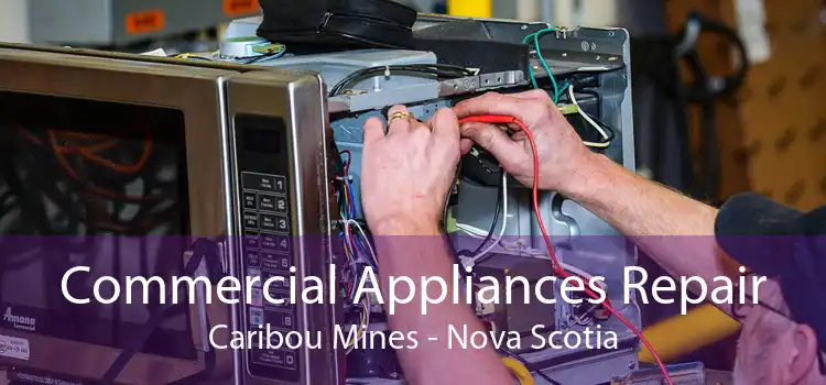 Commercial Appliances Repair Caribou Mines - Nova Scotia