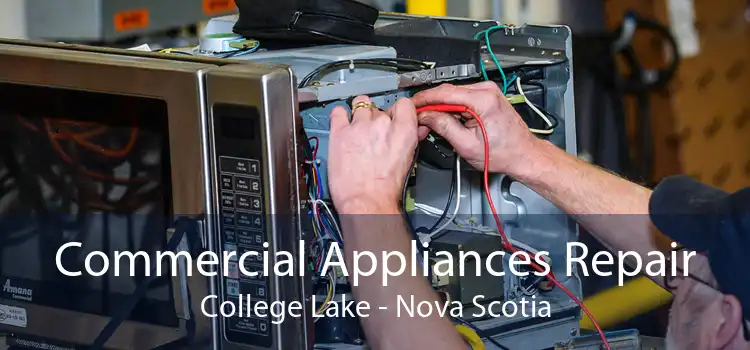 Commercial Appliances Repair College Lake - Nova Scotia