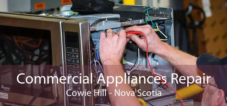 Commercial Appliances Repair Cowie Hill - Nova Scotia