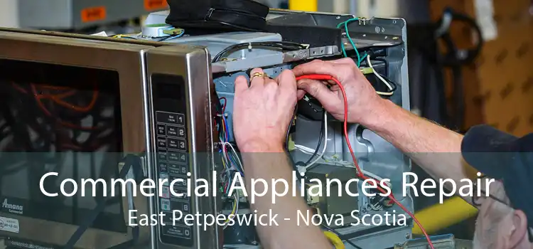 Commercial Appliances Repair East Petpeswick - Nova Scotia