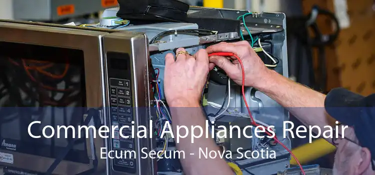 Commercial Appliances Repair Ecum Secum - Nova Scotia