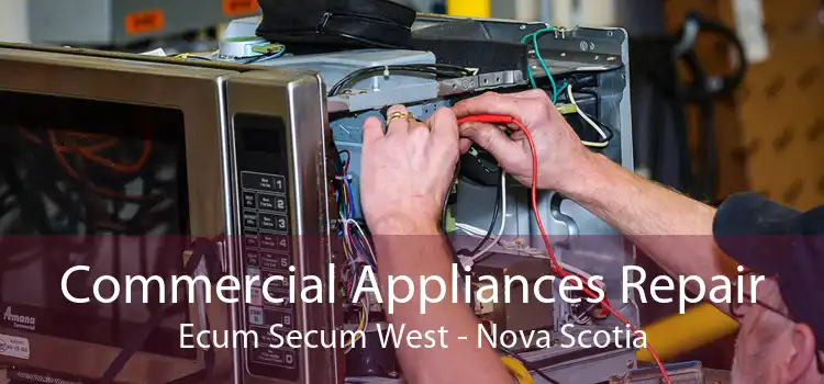Commercial Appliances Repair Ecum Secum West - Nova Scotia