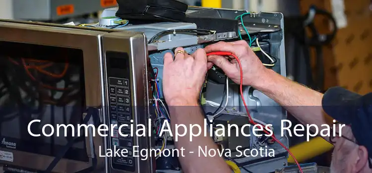 Commercial Appliances Repair Lake Egmont - Nova Scotia