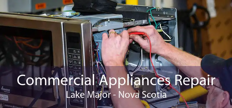 Commercial Appliances Repair Lake Major - Nova Scotia