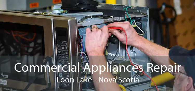 Commercial Appliances Repair Loon Lake - Nova Scotia