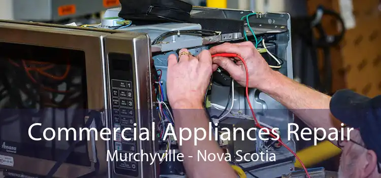 Commercial Appliances Repair Murchyville - Nova Scotia