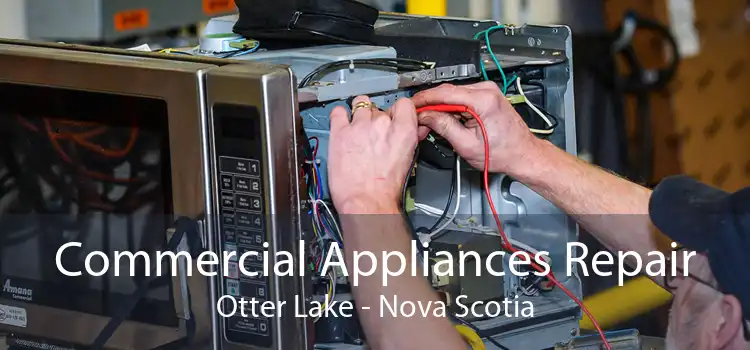 Commercial Appliances Repair Otter Lake - Nova Scotia