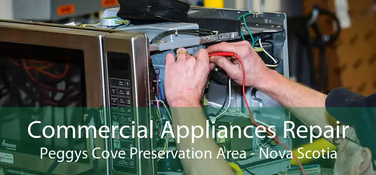 Commercial Appliances Repair Peggys Cove Preservation Area - Nova Scotia