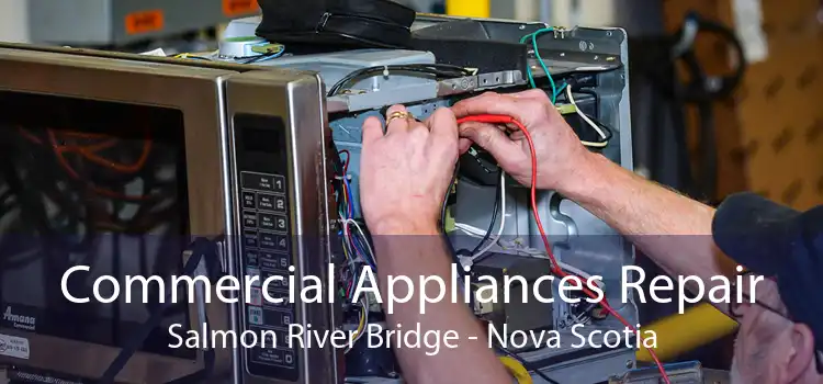 Commercial Appliances Repair Salmon River Bridge - Nova Scotia
