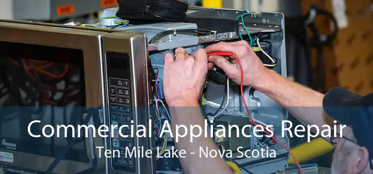 Commercial Appliances Repair Ten Mile Lake - Nova Scotia