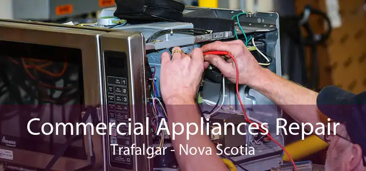 Commercial Appliances Repair Trafalgar - Nova Scotia