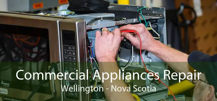 Commercial Appliances Repair Wellington - Nova Scotia
