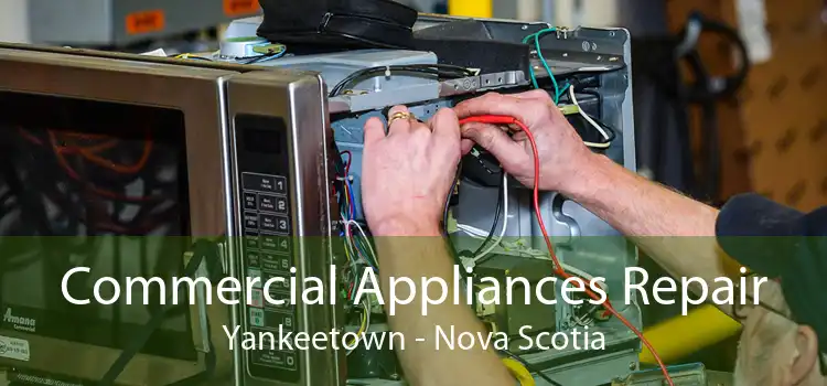 Commercial Appliances Repair Yankeetown - Nova Scotia