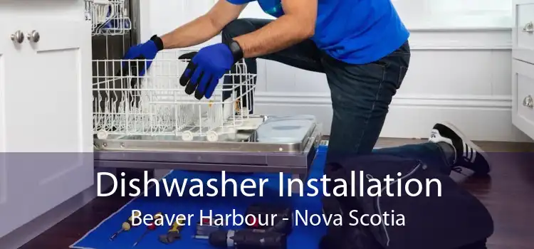 Dishwasher Installation Beaver Harbour - Nova Scotia