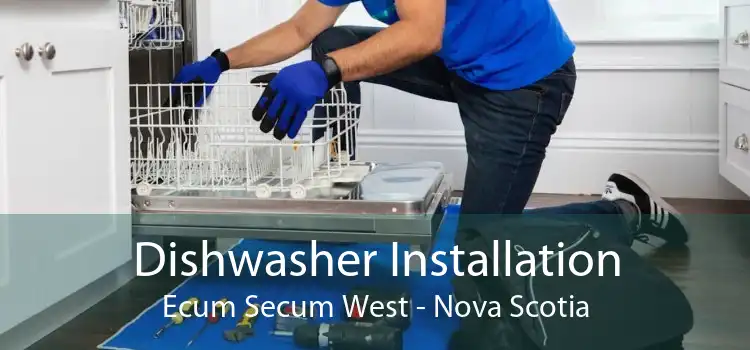 Dishwasher Installation Ecum Secum West - Nova Scotia
