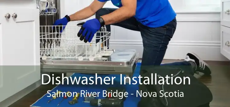 Dishwasher Installation Salmon River Bridge - Nova Scotia