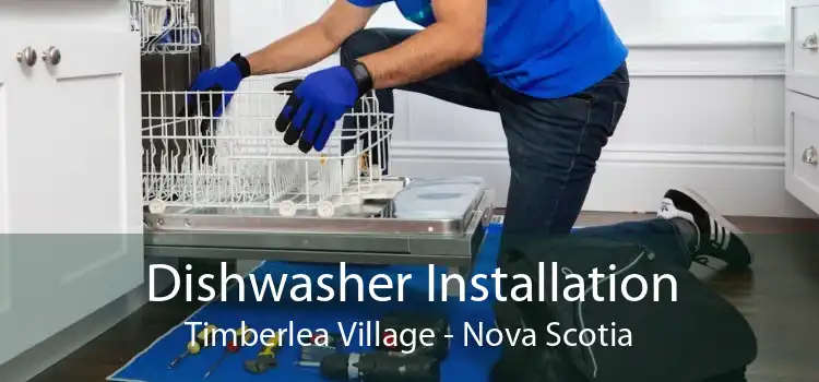 Dishwasher Installation Timberlea Village - Nova Scotia