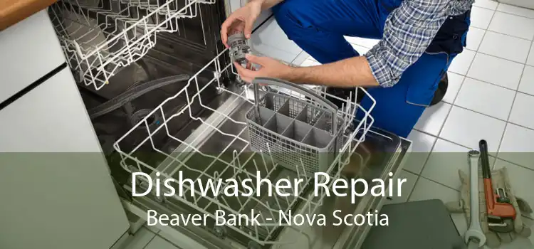 Dishwasher Repair Beaver Bank - Nova Scotia