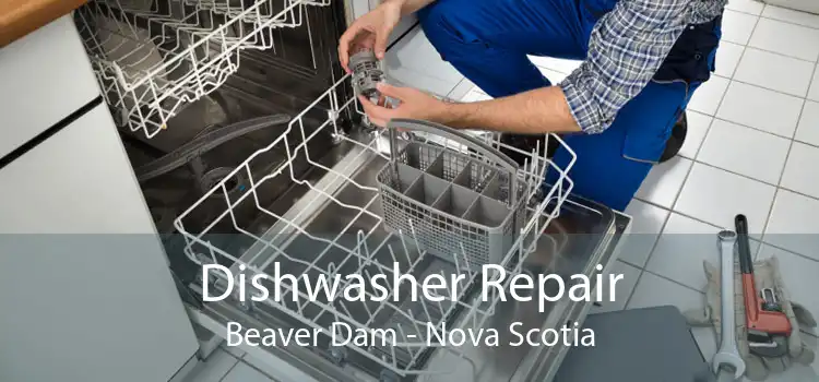 Dishwasher Repair Beaver Dam - Nova Scotia