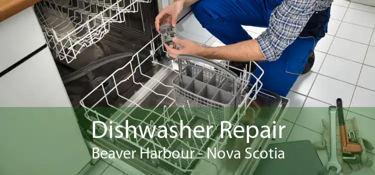 Dishwasher Repair Beaver Harbour - Nova Scotia