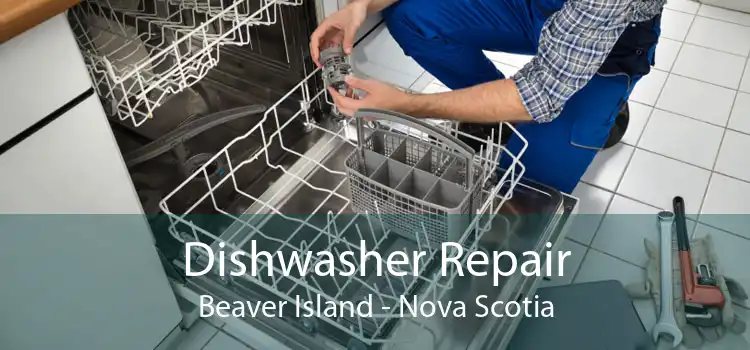 Dishwasher Repair Beaver Island - Nova Scotia