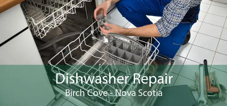 Dishwasher Repair Birch Cove - Nova Scotia