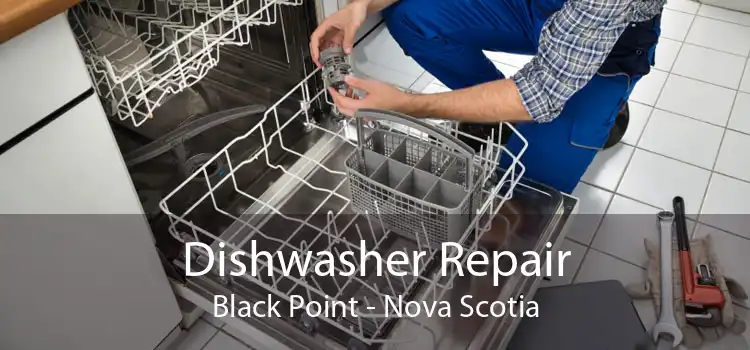 Dishwasher Repair Black Point - Nova Scotia