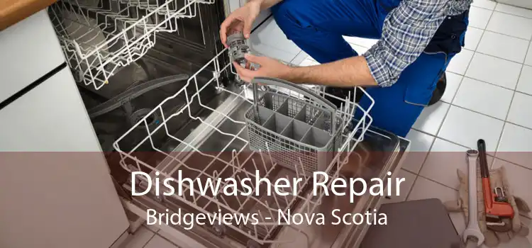 Dishwasher Repair Bridgeviews - Nova Scotia