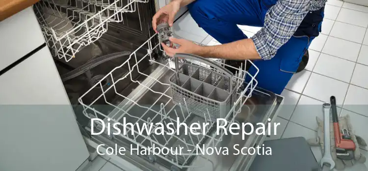 Dishwasher Repair Cole Harbour - Nova Scotia