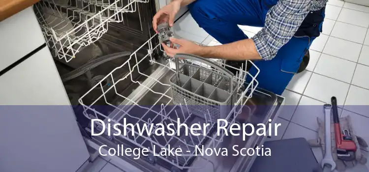 Dishwasher Repair College Lake - Nova Scotia