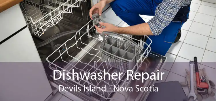 Dishwasher Repair Devils Island - Nova Scotia