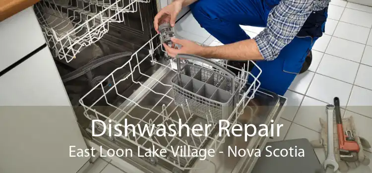 Dishwasher Repair East Loon Lake Village - Nova Scotia