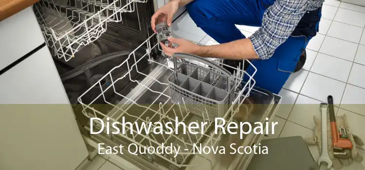 Dishwasher Repair East Quoddy - Nova Scotia