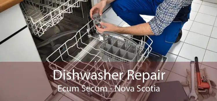 Dishwasher Repair Ecum Secum - Nova Scotia