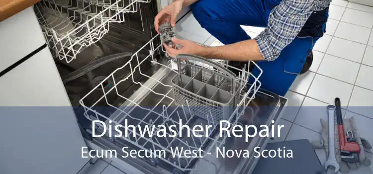 Dishwasher Repair Ecum Secum West - Nova Scotia