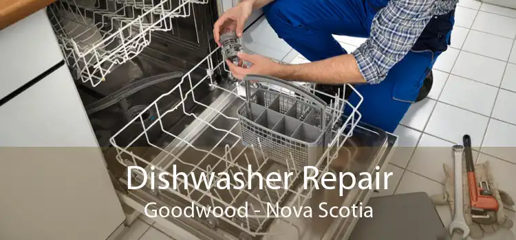 Dishwasher Repair Goodwood - Nova Scotia
