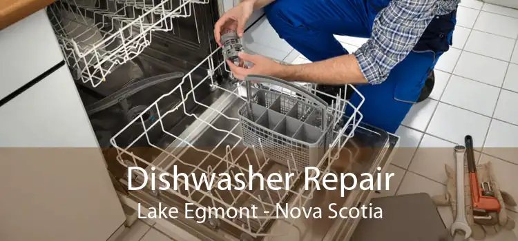 Dishwasher Repair Lake Egmont - Nova Scotia