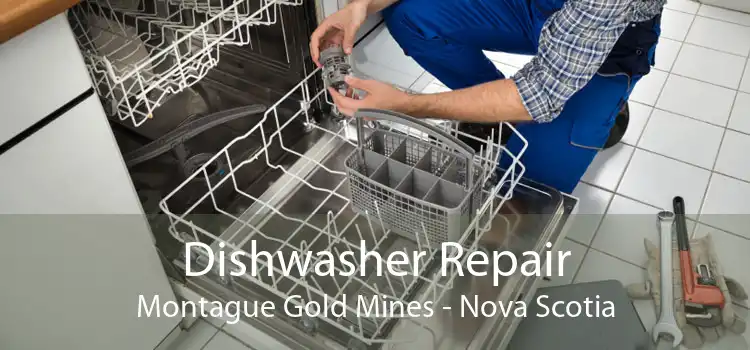 Dishwasher Repair Montague Gold Mines - Nova Scotia