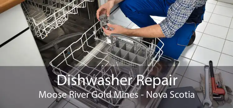 Dishwasher Repair Moose River Gold Mines - Nova Scotia