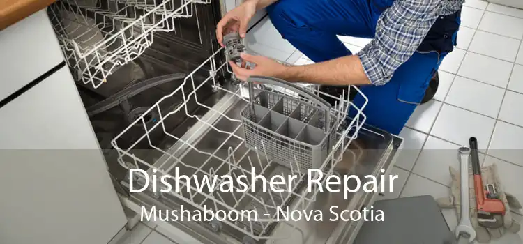 Dishwasher Repair Mushaboom - Nova Scotia