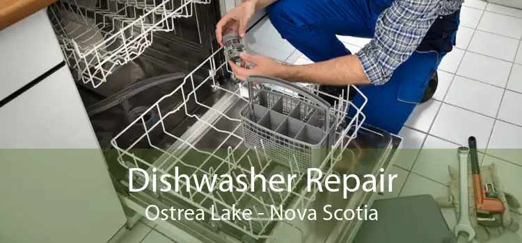 Dishwasher Repair Ostrea Lake - Nova Scotia