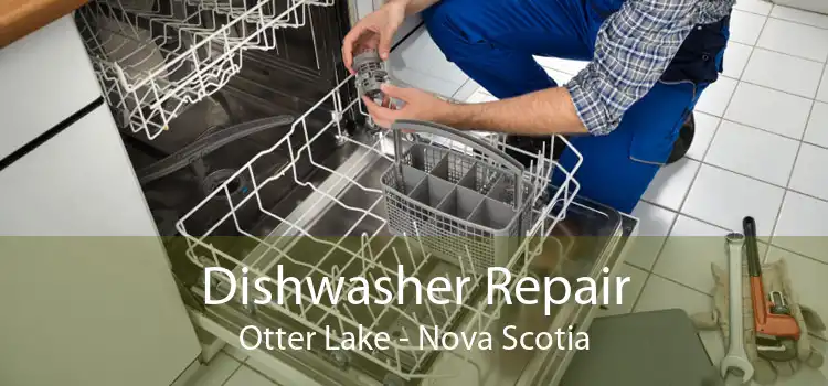 Dishwasher Repair Otter Lake - Nova Scotia