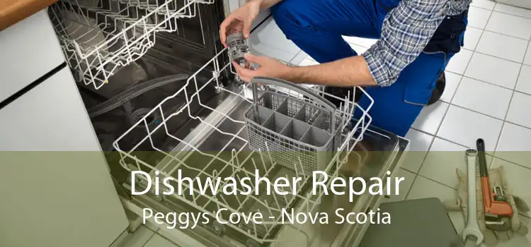 Dishwasher Repair Peggys Cove - Nova Scotia