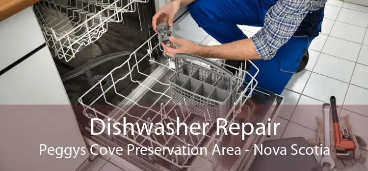 Dishwasher Repair Peggys Cove Preservation Area - Nova Scotia
