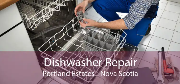 Dishwasher Repair Portland Estates - Nova Scotia